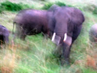 Kenya