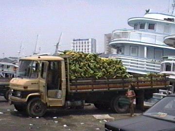 Manaus